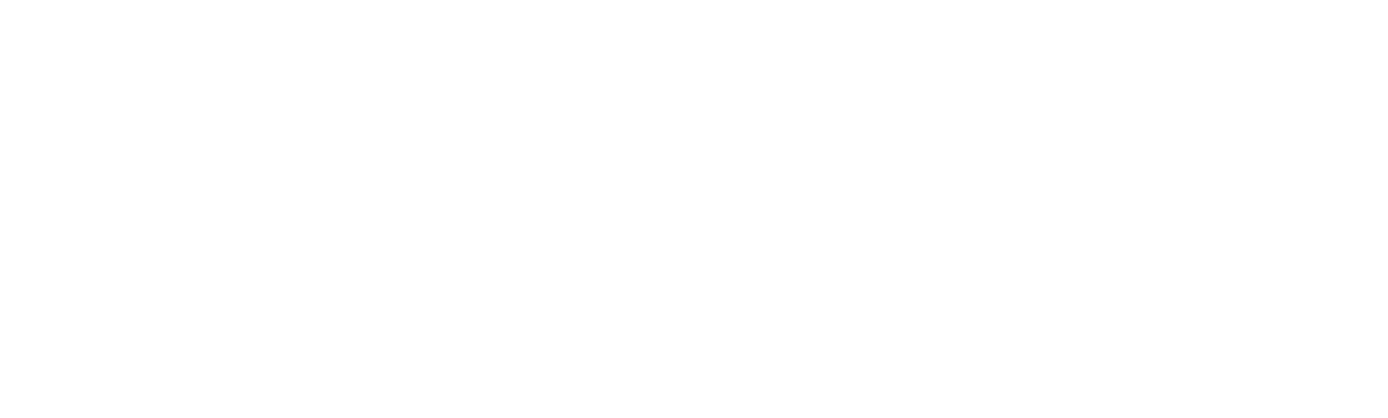 Trade 500 Intal